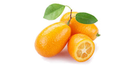 Kumquat en cuisine