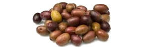 Olives taggiasche en cuisine