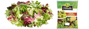 Salade composée en cuisine