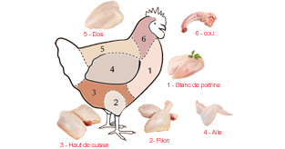 tout savoir sur le poulet en cuisine